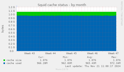 Squid cache status