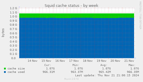 Squid cache status