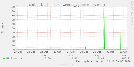 Disk utilization for /dev/nexus_vg/home